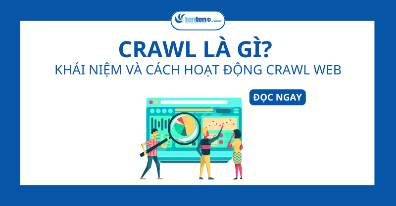 Crawl là gì? Khái niệm và cách Crawl Web hoạt động