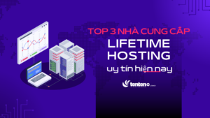 Lifetime Hosting là gì? Top 3 nhà cung cấp Lifetime hosting uy tín hiện nay