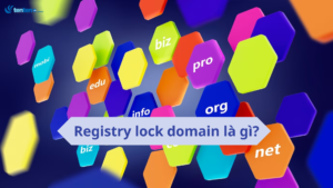 Registry lock domain là gì? Tại sao cần khóa tên miền
