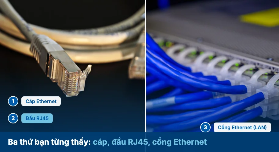 Ảnh chụp ba thứ cạnh nhau có gắn nhãn: sợi cáp Ethernet, đầu nhựa RJ45 cận cảnh, và cổng Ethernet (cổng LAN) trên thiết bị mạng