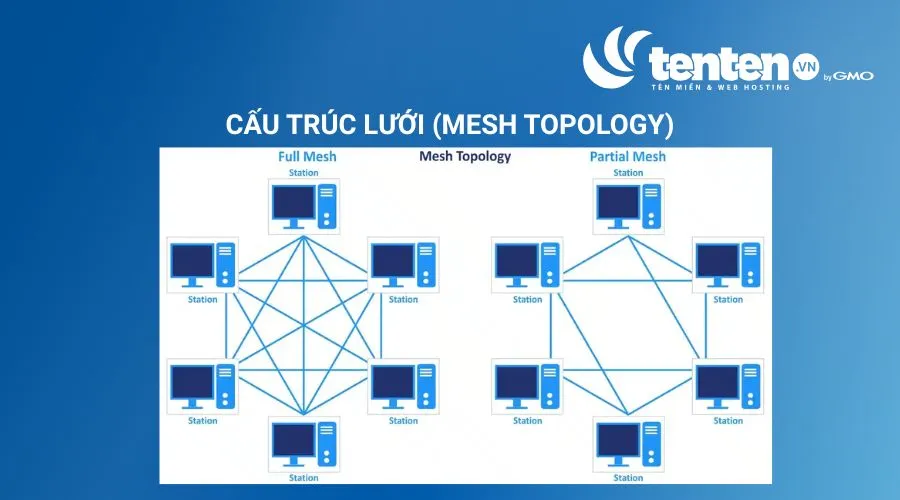 Cấu trúc lưới (Mesh Topology)