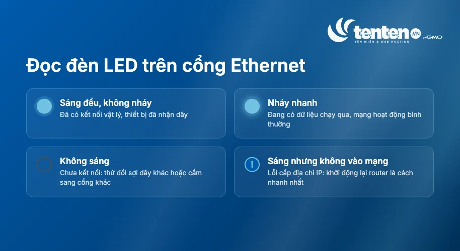 Bốn trạng thái đèn LED trên cổng Ethernet và ý nghĩa: sáng đều là đã kết nối, nháy nhanh là đang truyền dữ liệu, không sáng là chưa kết nối, sáng nhưng không vào mạng là lỗi cấp IP