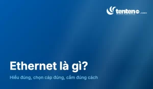Ethernet là gì? Cách hiểu, chọn cáp và cắm dây cho người mới
