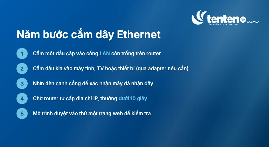 Năm bước cắm dây Ethernet theo thứ tự, từ cắm cáp vào cổng LAN trên router đến mở trình duyệt kiểm tra kết nối