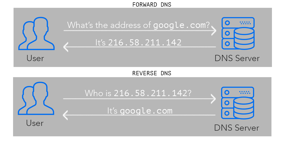 Các công cụ Reverse DNS Lookup 
