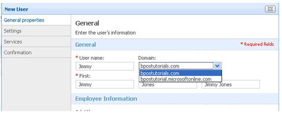 Có nên thiết lập Domain & Nhận Email bằng Microsoft BPOS?