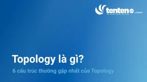 Topology là gì? 6 cấu trúc thường gặp nhất của Topology