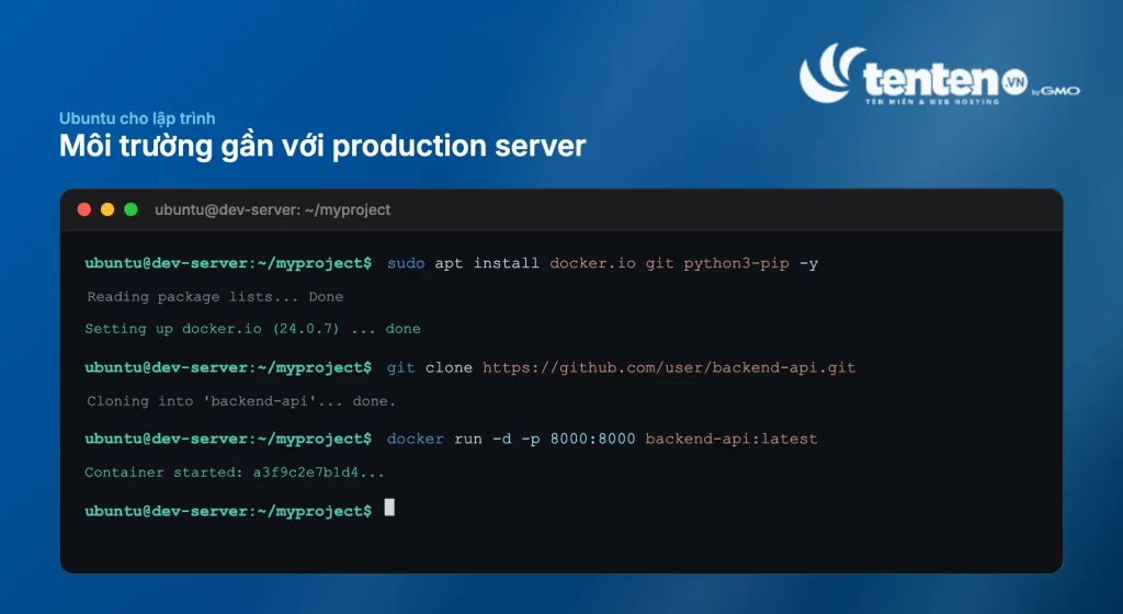 Màn hình terminal Ubuntu chạy lệnh apt install docker.io, git clone và docker run với prompt ubuntu@dev-server minh họa môi trường lập trình thực tế gần với production server