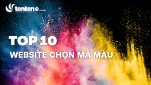 Top 10 Website Chọn Mã Màu: Khám phá Thế Giới Sắc Màu