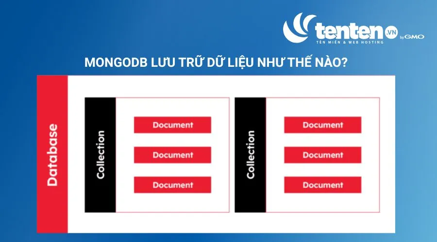MongoDB Cách lưu trữ dữ liệu dưới dạng Document