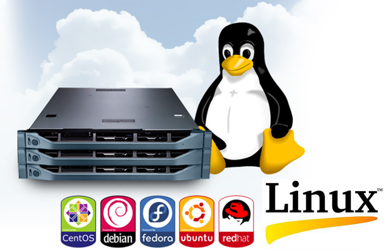 Linux Server là gì?