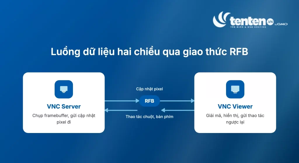 Sơ đồ luồng dữ liệu hai chiều qua giao thức RFB giữa VNC Server (chụp framebuffer, gửi cập nhật pixel) và VNC Viewer (giải mã, hiển thị, gửi thao tác chuột bàn phím ngược lại)