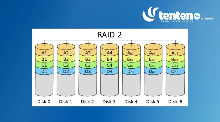 Mô hình RAID 2