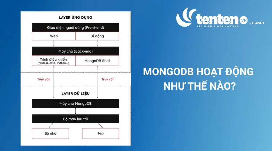 MongoDB hoạt động theo hai lớp chính là lớp ứng dụng và lớp dữ liệu
