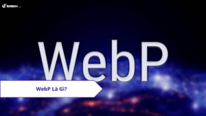 Webp là gì? Hướng dẫn chuyển đổi ảnh Webp sang PNG, JPG