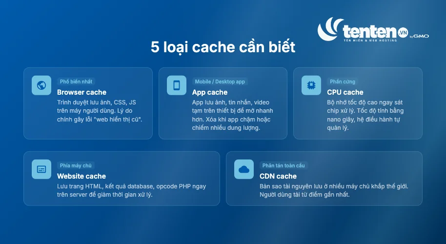 5 loại cache cần biết: Browser cache, App cache, CPU cache, Website cache và CDN cache với mô tả chức năng từng loại