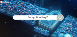 Encryption là gì? Những điều cần biết về mã hóa