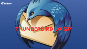 Định nghĩa về Thunderbird? Cách thiết lập Thunderbird dễ dàng