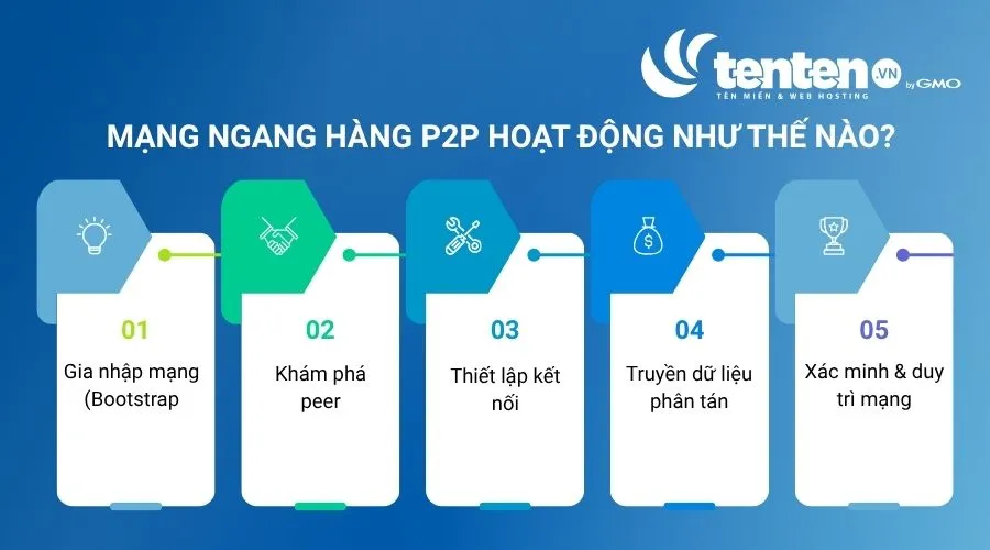 Lịch sử phát triển của P2P
Mô hình Peer to Peer (P2P) đã trải qua nhiều giai đoạn phát triển, từ những mạng chia sẻ dữ liệu đơn giản đến nền tảng cốt lõi của các ứng dụng chia sẻ tệp, truyền thông trực tuyến và blockchain hiện đại:
Những năm 1980: Khái niệm Peer to Peer (P2P) bắt đầu hình thành khi máy tính cá nhân (PC) trở nên phổ biến.
Tháng 8/1988: Những mạng P2P đầu tiên xuất hiện trên Internet, cho phép người dùng trò chuyện trực tiếp và chia sẻ văn bản trực tuyến, đặt nền móng cho các ứng dụng truyền thông ngang hàng.
Ngày 01/06/1999: Napster ra mắt mạng P2P tập trung đầu tiên, chủ yếu phục vụ việc chia sẻ tệp nhạc MP3.
Năm 2000: Gnutella được giới thiệu như một mạng chia sẻ tệp P2P phi tập trung đầu tiên, cho phép truy cập trực tiếp vào tệp trên máy tính của người dùng khác.
Ngày 03/01/2009: Bitcoin được triển khai trên nền tảng P2P, đánh dấu bước phát triển quan trọng của công nghệ mạng ngang hàng trong lĩnh vực blockchain.
Mạng ngang hàng P2P có cơ chế hoạt động như thế nào?
Luồng hoạt động kỹ thuật của mạng P2P trải qua các giai đoạn cốt lõi sau:
Gia nhập mạng (Bootstrap): Khi mới khởi động, thiết bị dùng các nút bootstrap (nút mồi) hoặc danh sách địa chỉ IP có sẵn để kết nối vào mạng lưới. Nút mồi cung cấp thông tin ban đầu để thiết bị "hòa nhập" với hệ thống.
Khám phá peer: Thiết bị quét và tìm kiếm các thiết bị khác đang hoạt động trong mạng. Việc này thường thông qua Bảng băm phân tán (DHT - Distributed Hash Table) để định vị tài nguyên và các peer lân cận một cách hiệu quả.
Thiết lập kết nối: Thiết bị tiến hành bắt tay và thiết lập kênh giao tiếp trực tiếp (qua TCP/UDP) với các peer đã tìm thấy. Chúng trao đổi thông tin về giao thức và khả năng của nhau để tạo thành cấu trúc liên kết mạng ảo.
Truyền dữ liệu phân tán: Khi cần tải hoặc chia sẻ dữ liệu, các peer sẽ truyền dữ liệu trực tiếp cho nhau thành từng phần nhỏ mà không qua máy chủ trung tâm. Điều này giúp tối ưu hóa băng thông của toàn mạng.
Xác minh & duy trì mạng: Các thiết bị liên tục gửi tín hiệu "sống" (heartbeat) để duy trì kết nối. Dữ liệu trao đổi được các peer xác minh tính toàn vẹn để tránh lỗi hoặc giả mạo. Nút mạng tự động cập nhật danh sách peer để hệ thống luôn ổn định.