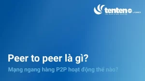 P2P là gì? Mạng ngang hàng hoạt động như thế nào?