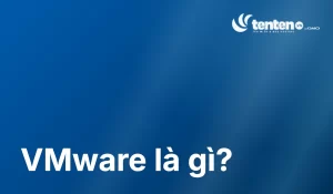 VMware Là Gì? Cách Hoạt Động, Chi Phí Và Đối Thủ Thay Thế