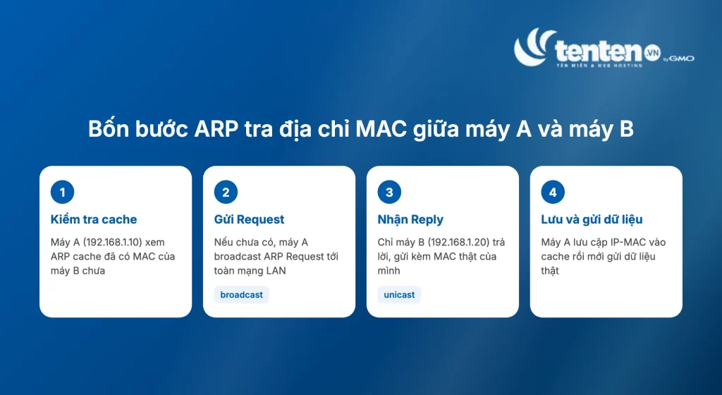 Bốn bước ARP Request và Reply giữa máy A và máy B: kiểm tra cache, gửi Request broadcast, nhận Reply unicast, lưu cache và gửi dữ liệu thật