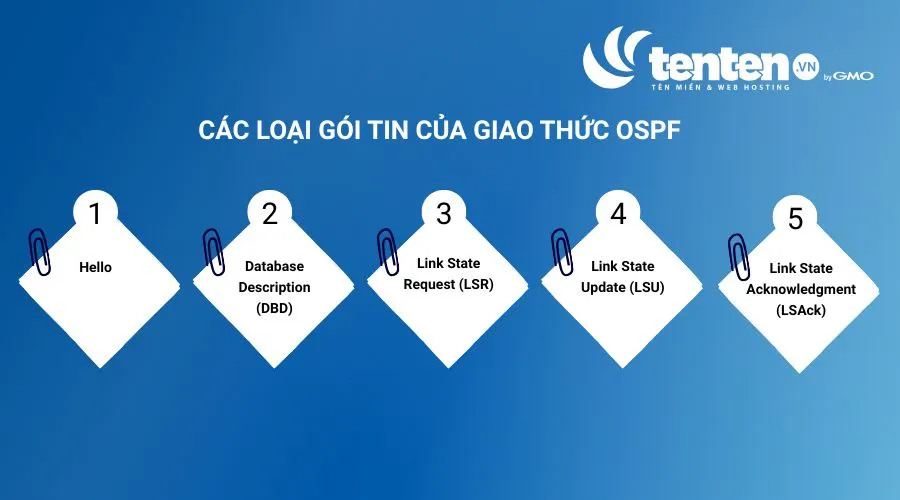 Các loại gói tin của giao thức OSPF