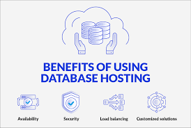 Tại sao website cần sử dụng Database Hosting?