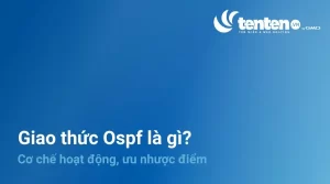 Giao thức OSPF là gì? Cơ chế hoạt động, ưu nhược điểm