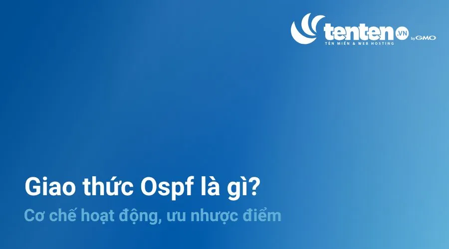 Giao thức OSPF là gì? Cơ chế hoạt động, ưu nhược điểm