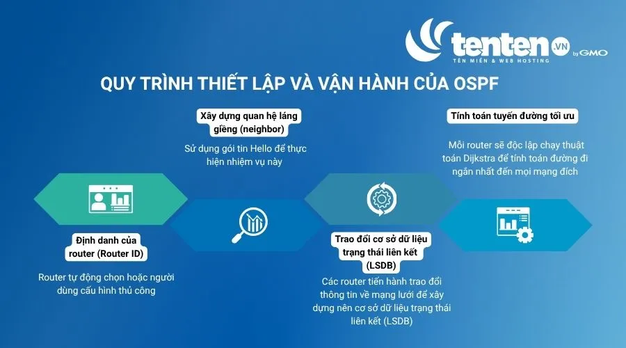 Quy trình thiết lập và vận hành của OSPF
