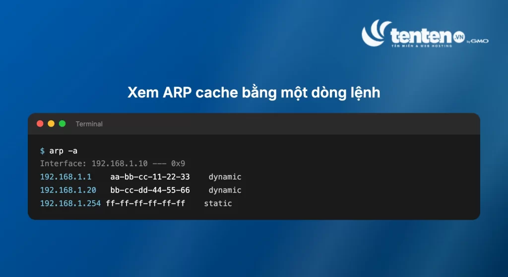 Mockup cửa sổ terminal chạy lệnh arp -a hiển thị bảng ARP cache với các cột địa chỉ IP, địa chỉ MAC và loại entry