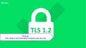 TLS là gì? Chức năng và cách hoạt động Transport Layer Security
