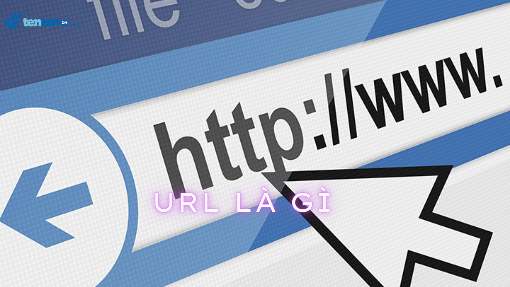 Image URL là gì? Cách Tìm và Ứng Dụng URL Hình Ảnh Hiệu Quả