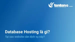 Database Hosting là gì? Tại sao website cần lưu trữ dữ liệu?