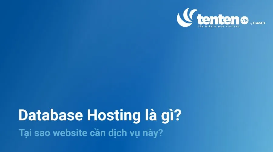 Database Hosting là gì? Tại sao website cần lưu trữ dữ liệu?