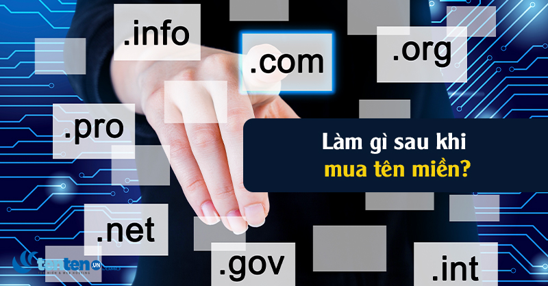 Sau khi mua tên miền thì làm gì?