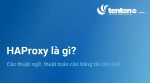 HAProxy là gì? Các thuật toán cân bằng tải cần biết