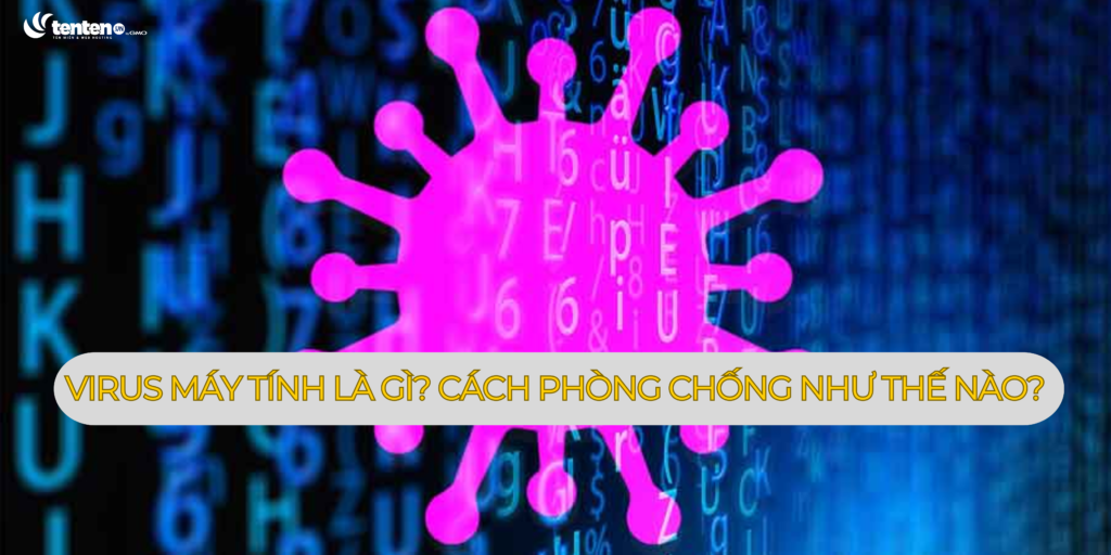 Virus máy tính là gì? Cách phòng chống các loại virus như thế nào?