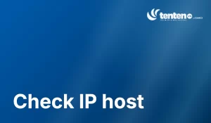 Check-Host là gì? Cách kiểm tra IP, Ping, DNS, HTTP, Port
