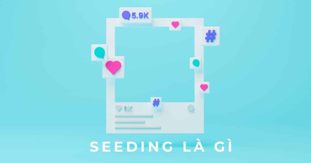 seeding là gì