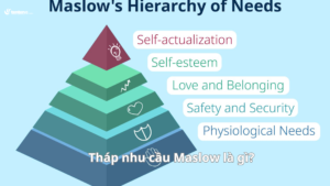 Tháp nhu cầu Maslow là gì? 5 cấp bậc trong tháp Maslow