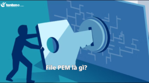 File PEM là gì? Hướng dẫn sử dụng tệp PEM như thế nào?