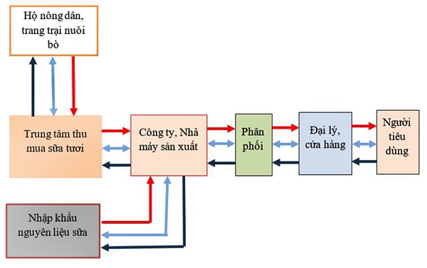 mô hình chuỗi cung ứng