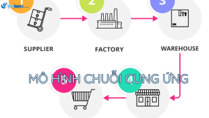 Mô hình chuỗi cung ứng bền vững trong thời đại số hóa