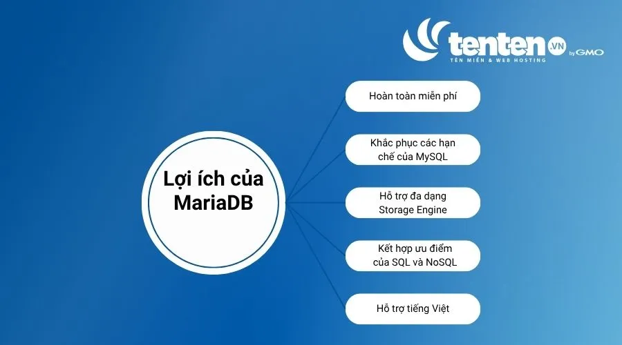 MariaDB là giải pháp thay thế lý tưởng giúp khắc phục các hạn chế của MySQL