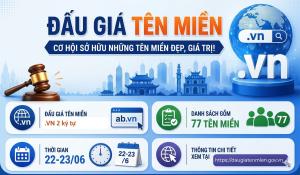 Đấu giá tên miền .VN đợt 2: Danh sách 77 tên miền cực hiếm chính thức lộ diện