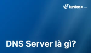 DNS Server là gì? Các loại máy chủ DNS và cách chọn dùng