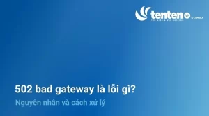 502 Bad Gateway là lỗi gì? Nguyên nhân và cách xử lý