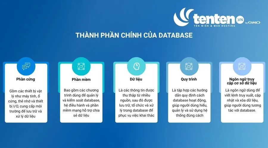 Các thành phần chính của database